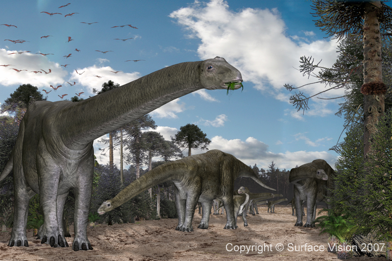 Cetiosaurus Image