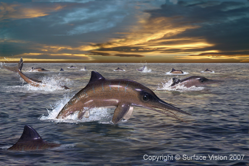 Ichthyosaurus Image