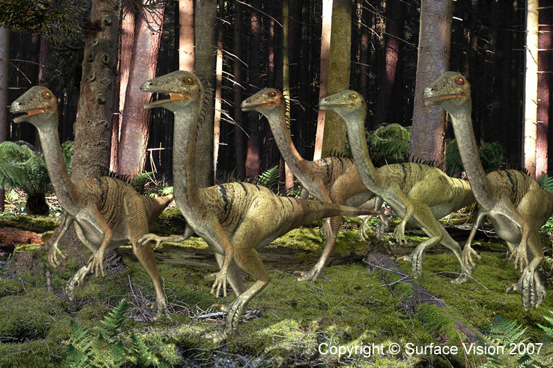 Troodon Image