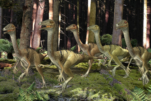 Troodon